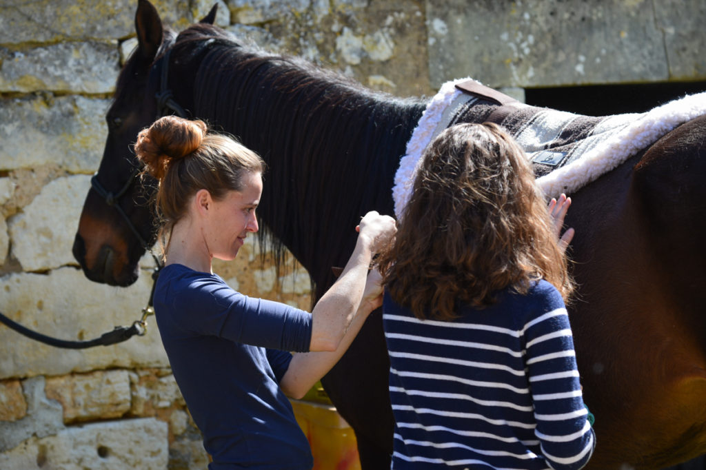 poney cheval Charente Maritime - à la rencontre du cheval et de soi-même - Marion Lefebvre