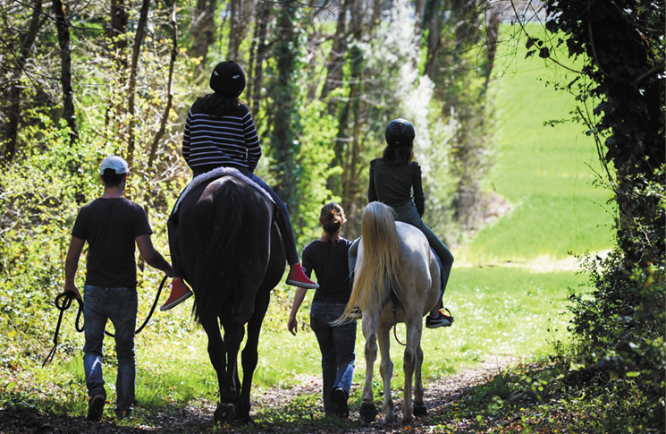 Randonnées Charente Maritime - à la rencontre du cheval et de soi-même - Marion Lefebvre