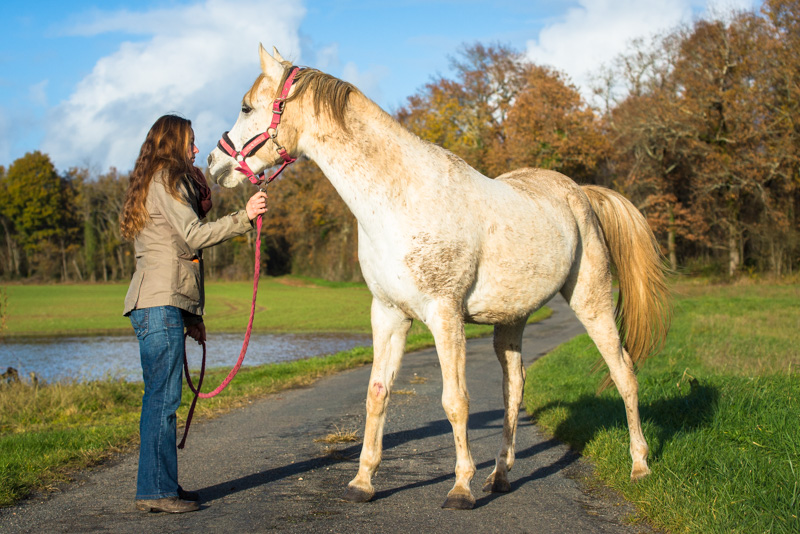 Thérapie cheval Charente Maritime - à la rencontre du cheval et de soi-même - Marion Lefebvre