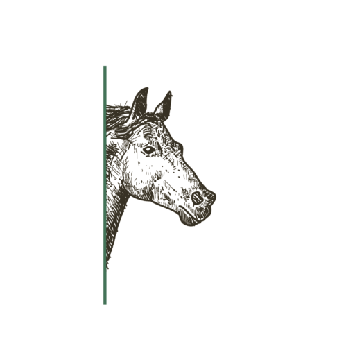 Logo - à la rencontre du cheval et de soi-même - Marion Lefebvre
