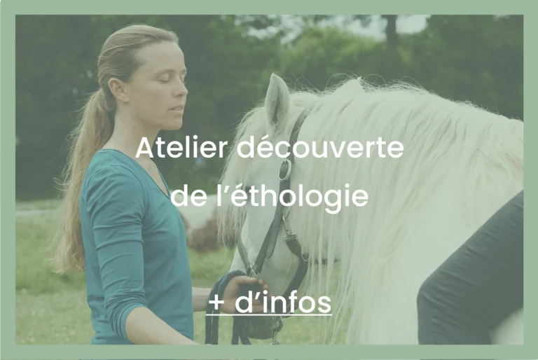 Atelier découverte de l'éthologie
