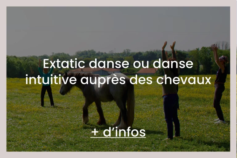 Extatic danse ou danse intuitive auprès des chevaux