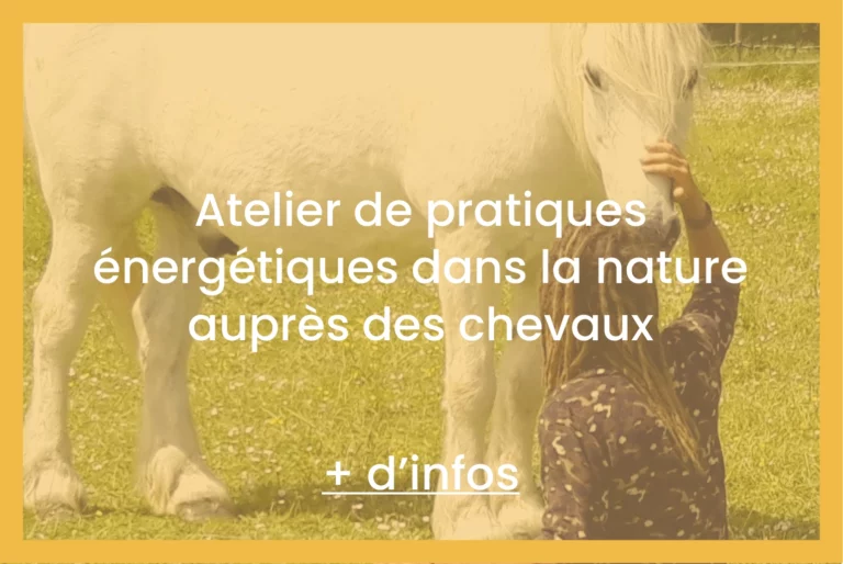 Atelier de pratiques énergétiques dans la nature auprès des chevaux