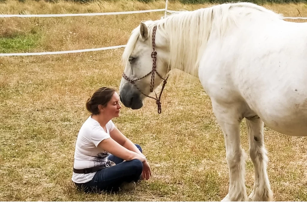 Equitherapie la rochelle