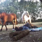 randonnée initiatique avec les chevaux