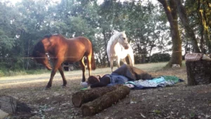 randonnée initiatique avec les chevaux